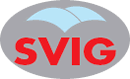 Svig